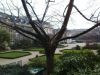 DSC01107.JPG